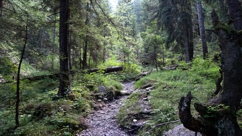 Hohe Kugel_250819_045